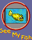 See my fish picture