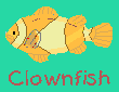 Clown Fish