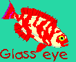 Glasseye
