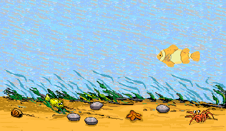 Lonely Clown Fish