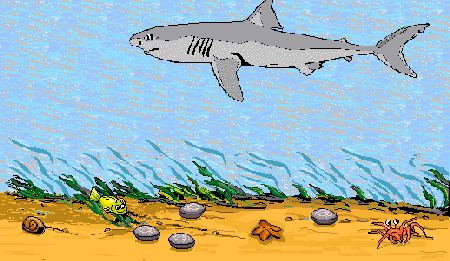 Hungry Shark