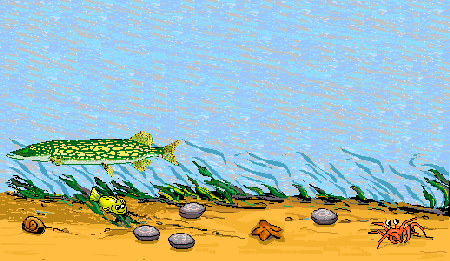 Lonely Pickerel