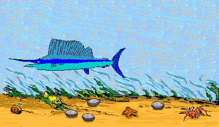 Lonely Swordfish