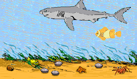 Clown Fish and Shark