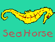Sea Horse