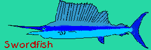 Swordfish